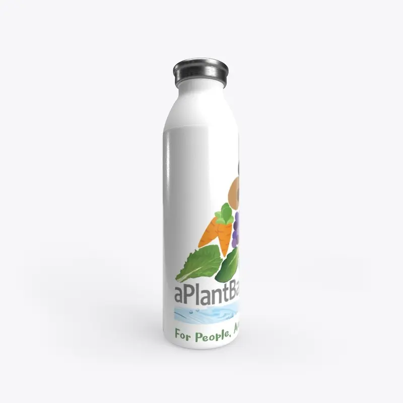 STAINLESS STEEL Water Bottle